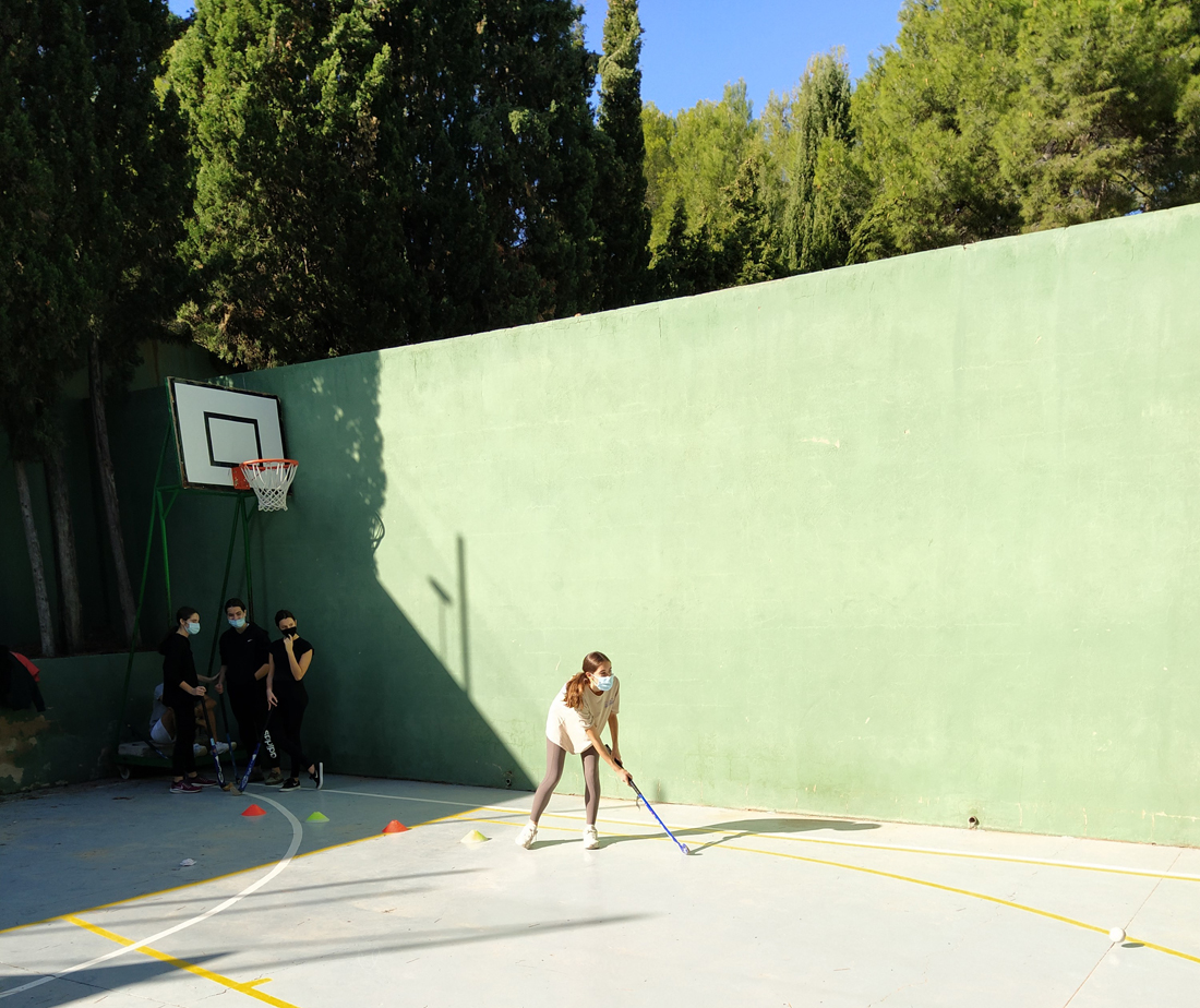 proyecto educativo promotor de la actividad fisica y el deporte