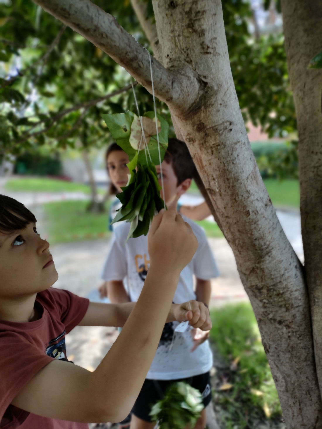 centro educativo gençana