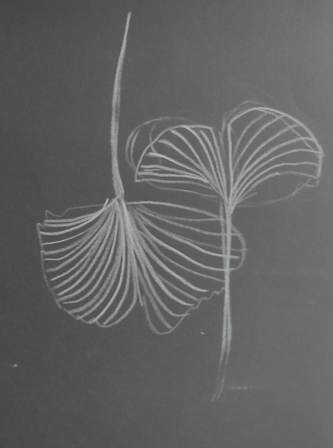Centro Educativo Gençana