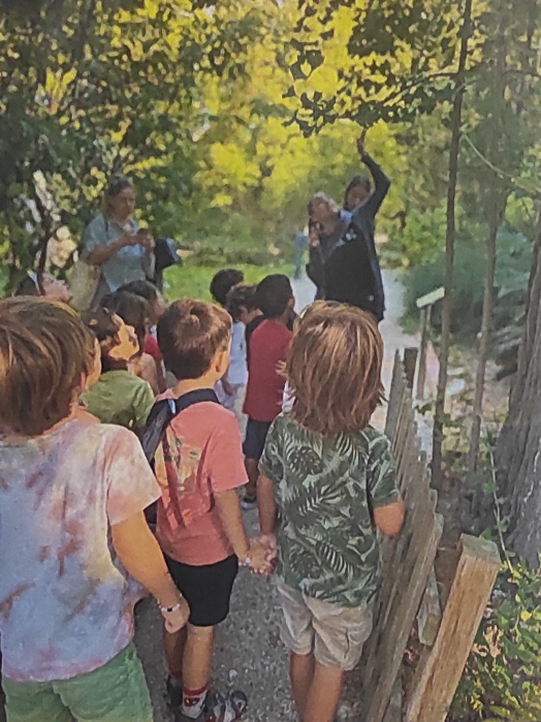 Grupo de niños de 4 años, de espaldas, observan atentamente las indicaciones de la guía que señala un árbol durante una visita al Jardín Botánico de Valencia