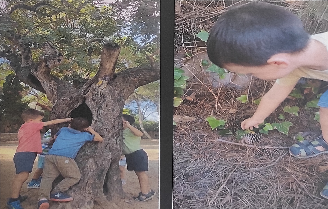 A la izquierda, un grupo de niños rodea el tronco de un algarrobo. Uno de ellos introduce su cara en el hueco que tiene el tronco, mientras que otro se asoma por detrás. A la derecha un niño recoge ramas del suelo de un bosque